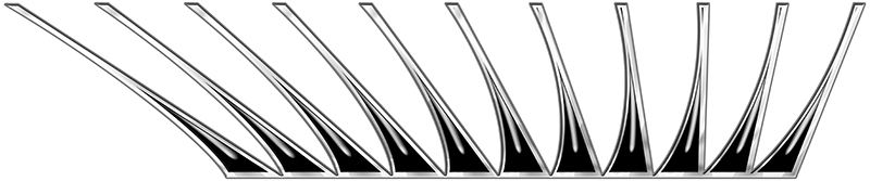 Wink - Black 1